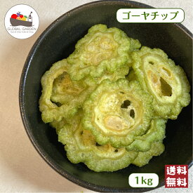 ゴーヤチップ 1kg (500g×2袋) スナック 大容量 チャック付き保存袋 宅配便 送料無料 おつまみ