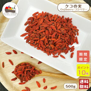 _P10{1023:59܂Ł^ NR̎ 500g ۑY JĎY X[p[t[h mX SWx[ `bNtۑ [  |Cg