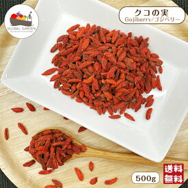 クコの実 500g 保存料無添加 寧夏産 スーパーフード 枸杞 ゴジベリー チャック付き保存袋 メール便 送料無料 ポイント消化