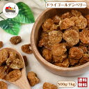 ＼今だけ！レビューキャンペーン中／ ドライ ゴールデンベリー 500g / 1kg 砂糖不使用 保存料無添加 ドライフルーツ インカベリー スーパーフード チャック付き保存袋 メール便 送料無料
