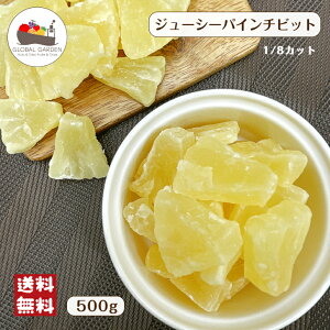 W[V[pC `rbg 500g hCt[c pCibv hCpC `bNtۑ [  |Cg