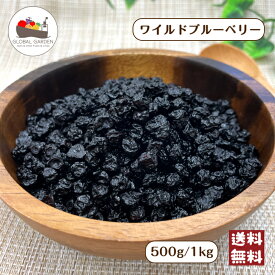 ＼今だけ！レビューキャンペーン中／ ドライ ワイルドブルーベリー 500g / 1kg ドライフルーツ ブルーベリー チャック付き保存袋 メール便 送料無料