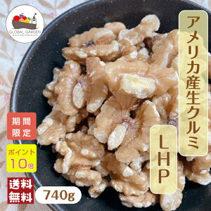 _|Cg10{15^ AJY  N~ LHP 740g   ۑY ibc `bNtۑ [  ibc |Cg