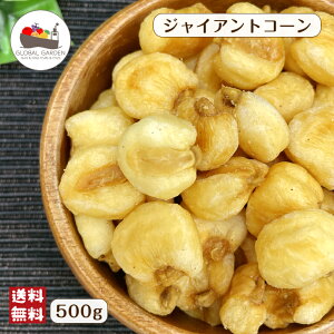 yԌIZ[iz WCAgR[ 500g  Ƃ낱 XibN ibc `bNtۑ [  ܂