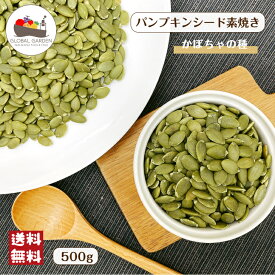 かぼちゃの種 パンプキンシード 素焼き 500g 無塩 無油 保存料無添加 ロースト チャック付き保存袋 メール便 送料無料 ポイント消化 バレンタイン