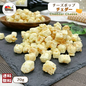 `[Y|bv `F_[ 70g `[Y XibN `bNtۑ [  |Cg