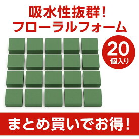 フローラルフォーム オアシス 20個入 花資材 花材 フラワーアレンジメント フォーム ガーデン ガーデニング 吸水スポンジ アレンジ ブリック 送料無料