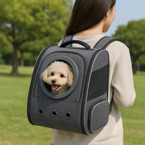 yzybgL[bN L ^p ʋCQ e yʐ݌v O[ U ʉ@ sɍœK