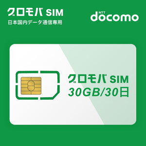 vyCh SIMJ[h 1 30 v y e 30GB { sim simJ[h SIMt[ nano }`Jbg LTEΉ 萔  hR docomo ԋpsv e[N z ݑΖ ꎞA 