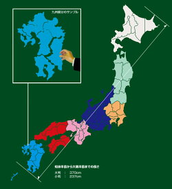 日本都道府県地図パズルピース（大）