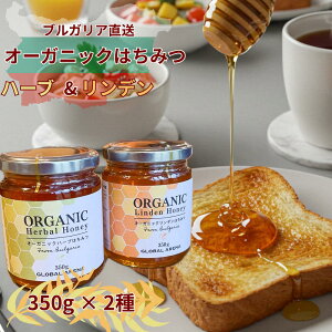 yI[KjbNEYzn[u&f݂͂ 2Zbgie350g×2{^v700gj bVRE100%IbuKA{I꒼bgE[OgɍœKbMtgɂ