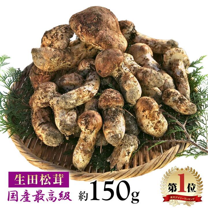 楽天市場】松茸 国産 約150g 最高級 信州 生田松茸 天然 信州産 つぼみ 