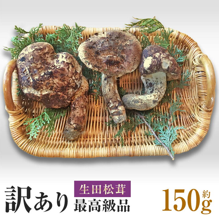 楽天市場】松茸 約150g 国産【ワケあり】お手頃価格 ご自宅用 最高級 