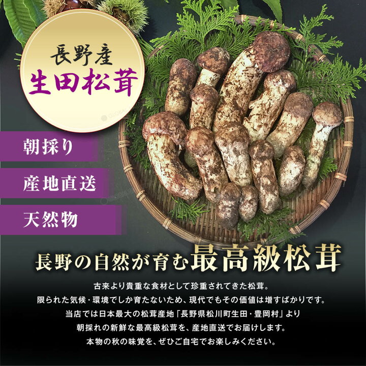 楽天市場】松茸 国産 約150g 最高級 信州 生田松茸 天然 信州産 つぼみ 