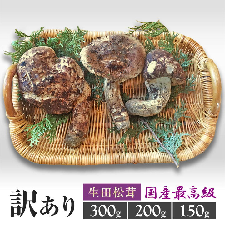 楽天市場】【シーズン終了間近！さらに値引いて半額以下！！期間限定  