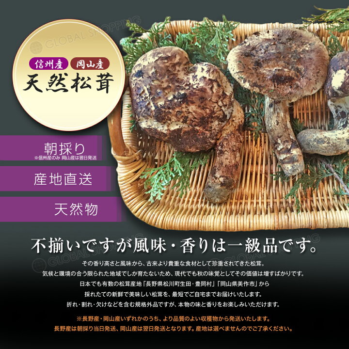 楽天市場】【シーズン終了間近！さらに値引いて半額以下！！期間限定 