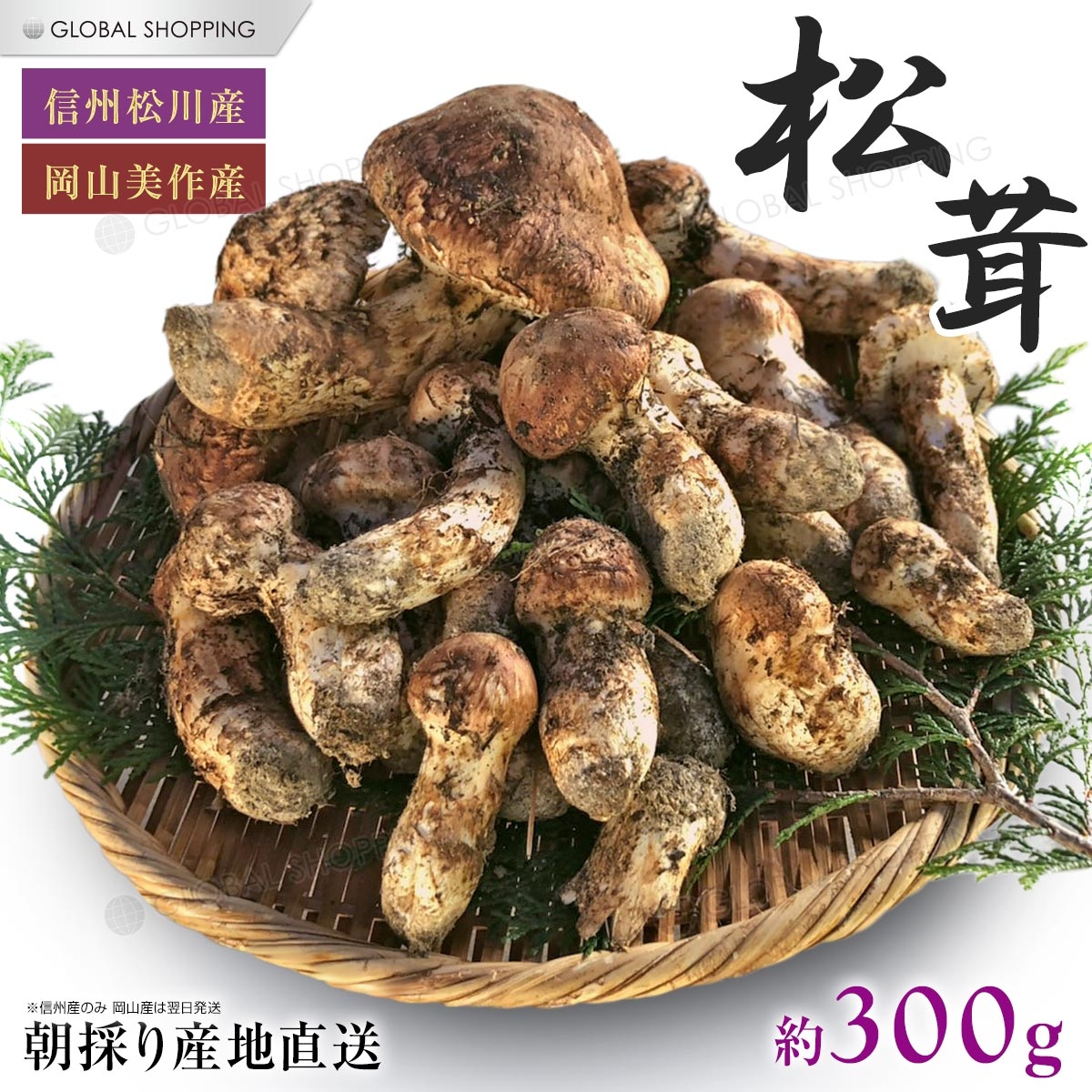 国産 天然 松茸の人気商品・通販・価格比較 - 価格.com