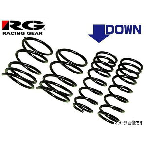 �j�b�T�� �f�C�Y���[�N�X B21A RG ���[�V���O�M�A LOWFORM REVOLUTION �_�E���T�X �O��1�䕪 SN037A