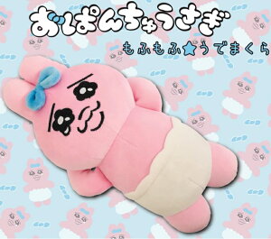 GXJC ς񂿂イ ӂӂł܂ 240×140×80mm |GXe M@sN NGC^[ zɁI [ŋz]
