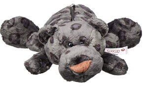 NICI(jL)WF26 pT[ tBMA|[`