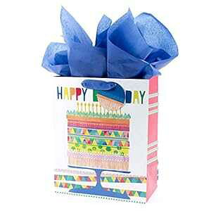 Hallmark 13 C` [W MtgobO eBbVy[p[t (邢P[L) aAp[eB[ȂǂɍœK Hallmark 13" Large Gift Bag with Tissue Paper (Bright Cake) for Birthdays, Parties and More