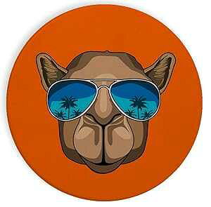 Z~bN Xg[ R[X^[ R[X^[ 4 Zbg - TOXN_ V̖؂̔ Hat Shark Ceramic Stone Coaster Coasters Set of Four - Camel Wearing Sunglasses Palm Tree Reflection