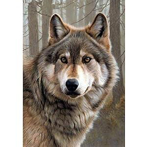 Eiflow 12x16C` 5Dt_ChyCeBOA[gLbg lp IIJ~ _ChhJLbgɂDIYyCg EhhA[gNtg Ǒ Eiflow 12x16in 5D Full Diamond tin