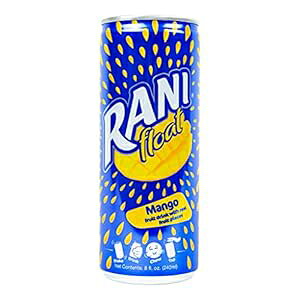 Rani Float }S[t[cW[XhNA{̃}S[`Ngpʏ`100ܗLAhoCAAsgpAlHFsgpA8IXi24pbNj Rani Float Mango Fruit Ju