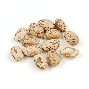 �I�[�K�j�b�N�s���g�r�[���Y�A25�|���h�� Land of Wood Organic Pinto Beans, 25 Pound Box