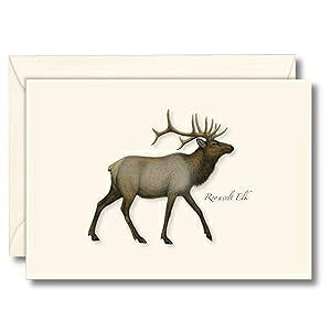 Earth Sky + Water - [YxgwWJ̃m[gJ[hZbg - tuNJ[h 8  Earth Sky + Water - Roosevelt Elk Notecard Set - 8 Blank Cards with Envelopes