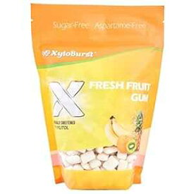 XyloBurst 100% キシリトールガム、フルーツガム、500 カウントジャー、天然チューインガム、非遺伝子組み換え、ビーガン、アスパルテームフリー、シュガーフリー、ケトフレンドリー XyloBurst 100% Xylitol Gum, Fruit Gum, 500 Count Jar, Natural Chew