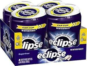ECLIPSE EB^[tXg VK[t[KA60  (4 pbN) ECLIPSE Winterfrost Sugarfree Gum, 60 Count (Pack of 4)