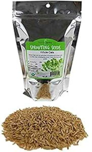 L@`qg݊SI[gq (kt) - 1 |h̍Ė\ȃ|[` - I[gqAAI[gAAۊǂȂǂ Handy Pantry Organic Non-GMO Whole Oat Grain Seeds (With H