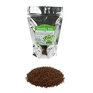 L@F̈̎q - 1|h̍Ė\ȑ - Ji_̈̎q - AӁAIKICAx[LOp̈̎q i Handy Pantry Organic Brown Flax Seeds - 1 Lb Resealable Bag - Canadian