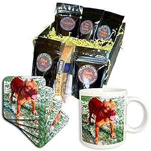 3dRose AJ sbg u R[q[ Mtg oXPbgA}` 3dRose American Pit Bull Coffee Gift Basket, Multi