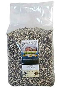 Riehle's ZNg |bsOR[ - kȂxr[u[S|bvR[ - 6|h (96IX) Riehle's Select Popping Corn - Hulless Baby Blue Whole Grain Popcorn - 6lb (96oz)