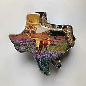 AC[Y vl vl o[ eLTX Oz[ Mtg Eileen's Pralines Praline Bars Texas Longhorn Gift Tin
