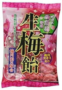 ڂ ~n[hLfB[A3.87IX Ribon Nama Ume Plum Hard Candy, 3.87 Ounce