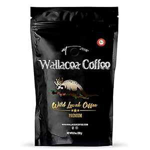 Wallacea Coffee Certified Wild Kopi Luwak Coffee BeansAWRElRR[q[AChlVAEKEX}gYRsAbNAR[q[i8.8IXj WALLACEA COFFEE EST. 2018 Wallacea Coffee Certified Wild Kopi Luwa