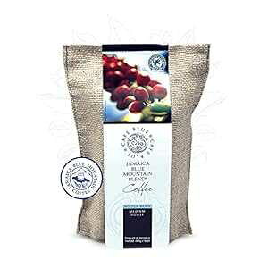 JtFu[ ? W}CJu[}EeR[q[uhA~fBA[XgSR[q[ARrAR[q[ƃuhv~AArJR[q[A16IX̃R[