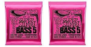 Ernie Ball P02824 ^2 Super Slinky 5 Bass Strings, 2 Pack