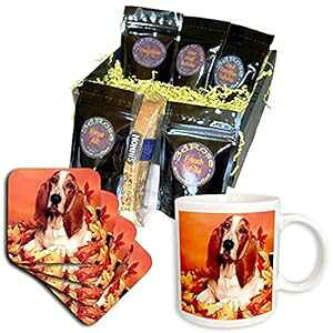 3dRose oZbgnEh R[q[ Mtg oXPbg }` 3dRose Basset Hound Coffee Gift Basket, Multi