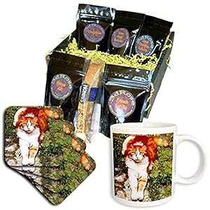 3d���[�Y�I�����W�L���b�g�R�[�q�[�M�t�g�o�X�P�b�g�A�}���` 3dRose Orange Cat Coffee Gift Basket, Multi