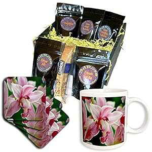 3dRose Orchid - B �R�[�q�[�M�t�g�o�X�P�b�g�A�}���` 3dRose Orchid - B Coffee Gift Basket, Multi