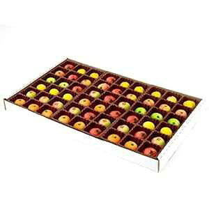 Gifty World O }Wp 54 lߍ킹t[c{bNX zf[ Mtg gC Gift World Gifty World Gourmet Marzipan 54-Piece Assorted Fruit Box Holiday Gift Tray