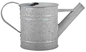 Esschert Design OZ42 傤AX-S Esschert Design OZ42 Zinc Watering Can, X-Small