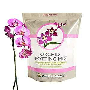 I[i` I[Lbh |beBO ~bNX 4NH[gBp[tFNgEvg ʂƂō ނ̌ӒɍœK All Natural Orchid Potting Mix 4qts. by Perfect Plants Hand Mi