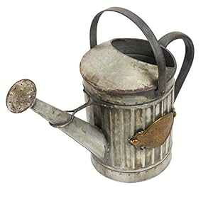 Alpine Corporation YHL164HH-S Be[WX^C傤A 11 C`A}`J[ Alpine Corporation YHL164HH-S Vintage Style Metal Watering Can, 11 Inch Tall, Multi-Color