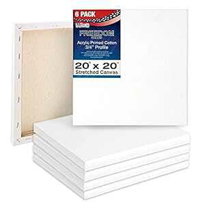 U.S. Art Supply 20 x 20 inch Stretched Canvas 12-Ounce Triple Primed, 6-Pack - Professional Artist Quality White Blank 3/4" Profile, 100% Cotton, Heavy-Weight Gesso - Acrylic Pouring, Oil ting