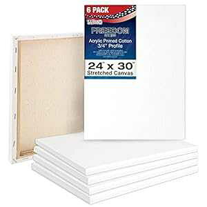 U.S. Art Supply 24 x 30 inch Stretched Canvas 12-Ounce Triple Primed, 6-Pack - Professional Artist Quality White Blank 3/4" Profile, 100% Cotton, Heavy-Weight Gesso - Acrylic Pouring, Oil ting